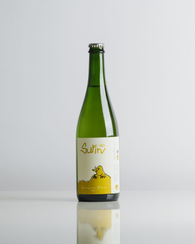 Surin 2019