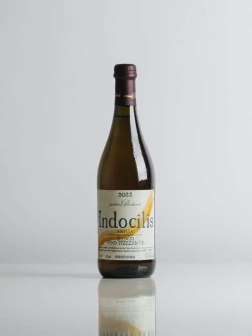 Indocilis Bianco 2022