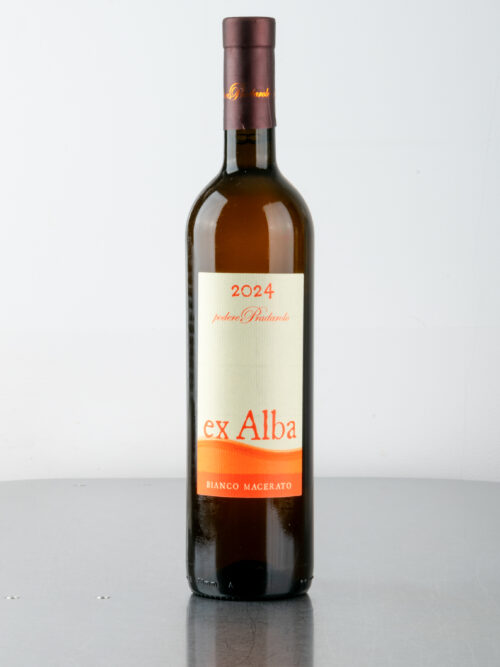 Ex Alba 2024