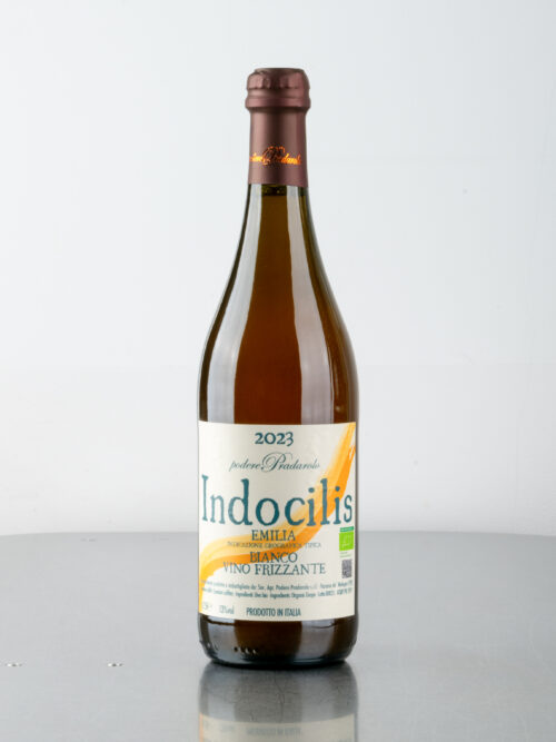 Indocilis Bianco 2023