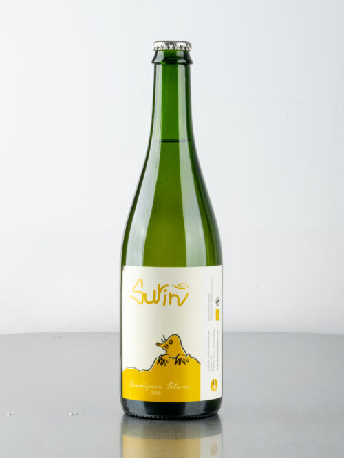 Surin 2019