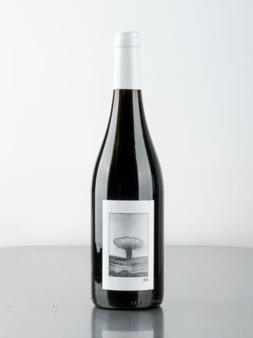 Corbieres "Fall" 2019